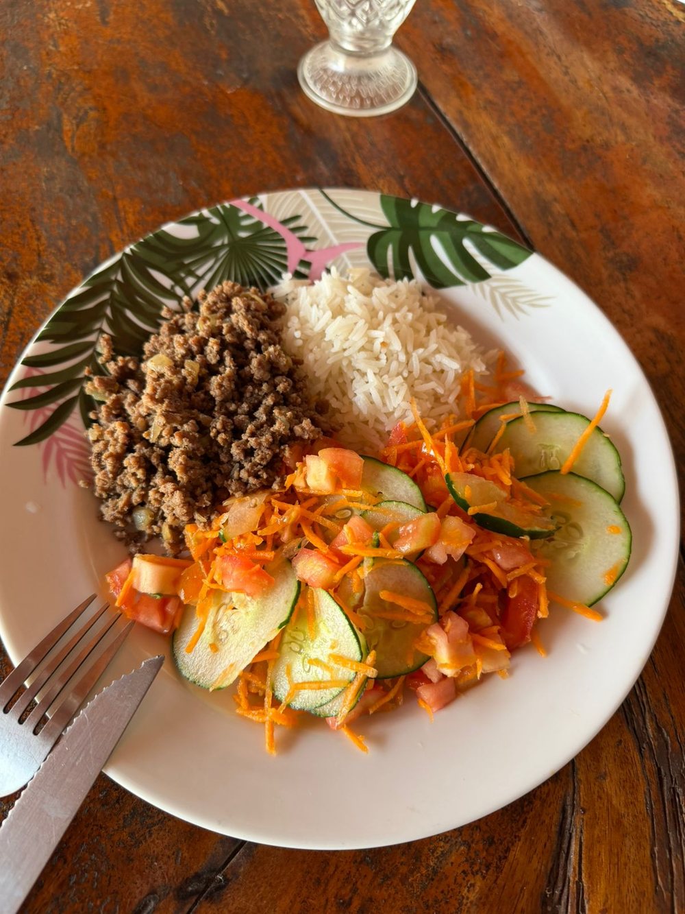 Prato com carne moída, arroz e salada de pepino, tomate e cenoura